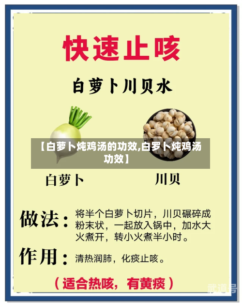 【白萝卜炖鸡汤的功效,白罗卜炖鸡汤功效】