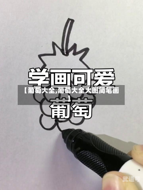 【葡萄大全,葡萄大全大图简笔画】