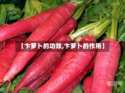 【卞萝卜的功效,卞萝卜的作用】
