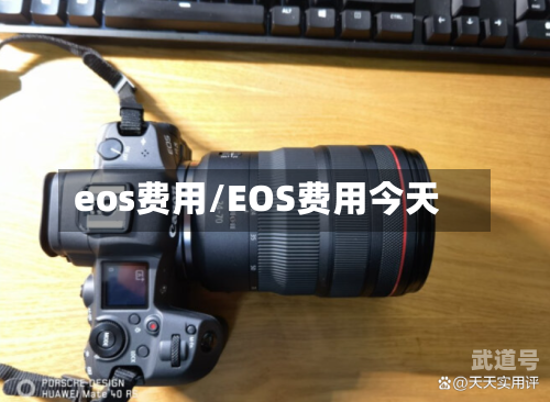eos费用/EOS费用今天