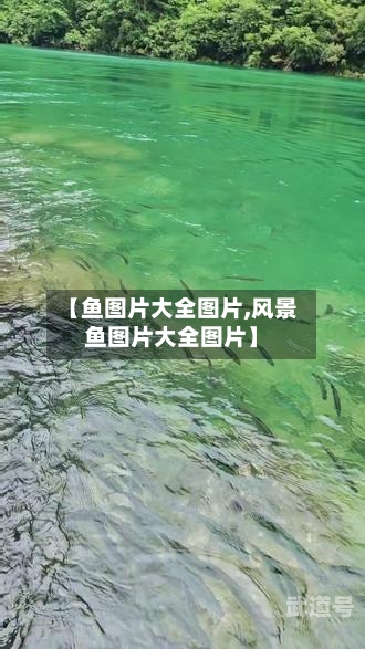 【鱼图片大全图片,风景鱼图片大全图片】