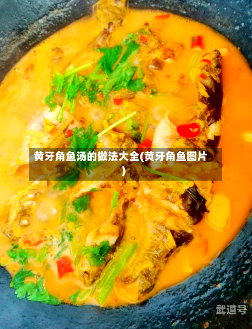 黄牙角鱼汤的做法大全(黄牙角鱼图片)