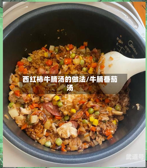 西红柿牛腩汤的做法/牛腩番茄汤