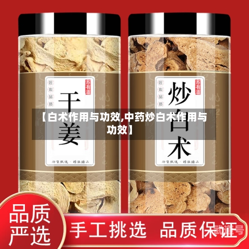 【白术作用与功效,中药炒白术作用与功效】