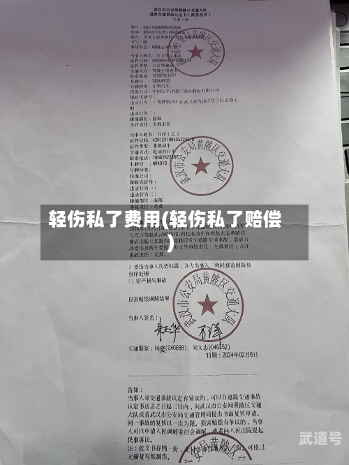 轻伤私了费用(轻伤私了赔偿)