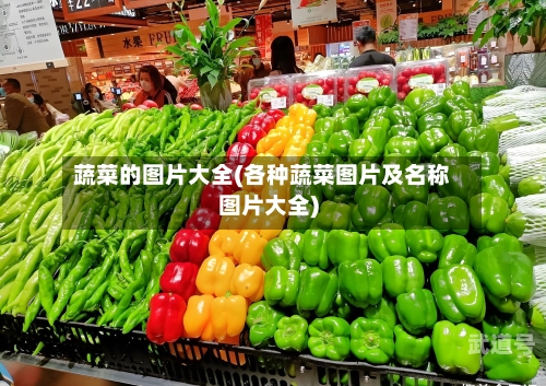 蔬菜的图片大全(各种蔬菜图片及名称图片大全)