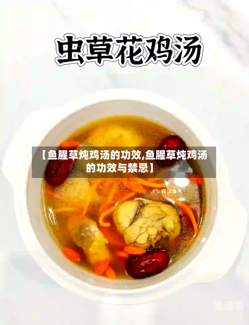 【鱼腥草炖鸡汤的功效,鱼腥草炖鸡汤的功效与禁忌】
