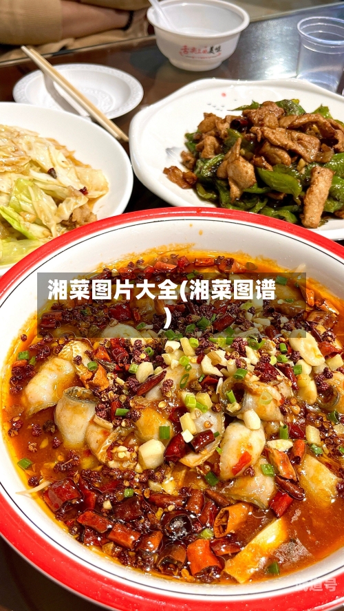 湘菜图片大全(湘菜图谱)