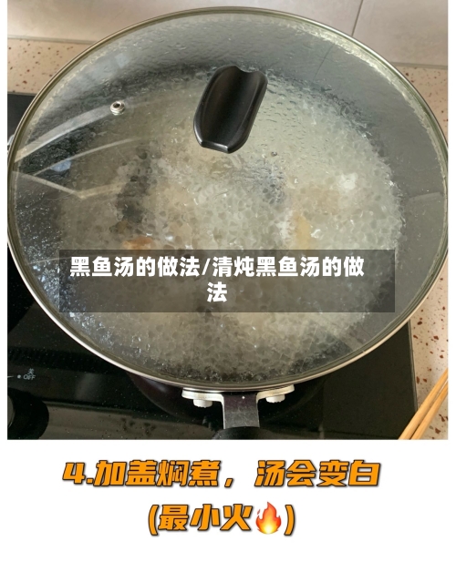 黑鱼汤的做法/清炖黑鱼汤的做法