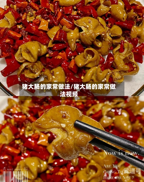 猪大肠的家常做法/猪大肠的家常做法视频