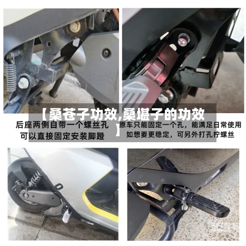 【桑苍子功效,桑堪子的功效】