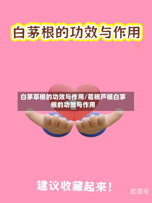 白茅草根的功效与作用/葛根芦根白茅根的功效与作用