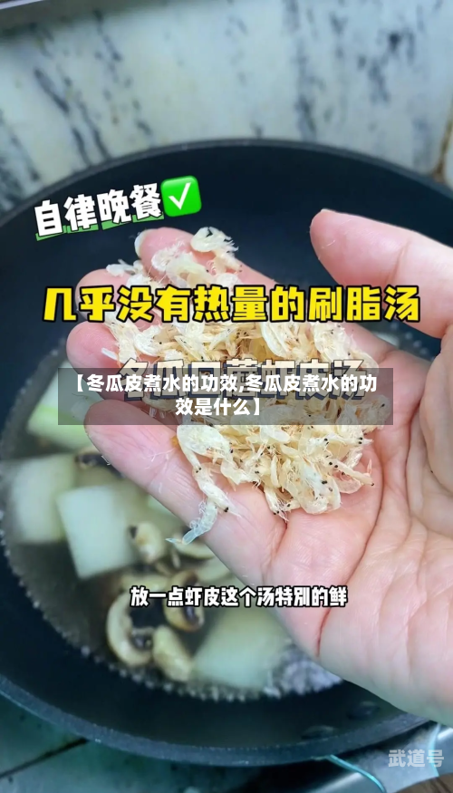 【冬瓜皮煮水的功效,冬瓜皮煮水的功效是什么】