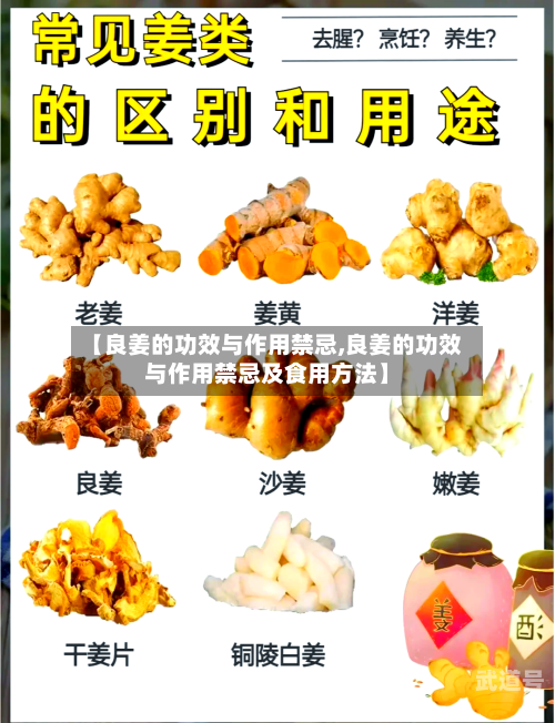 【良姜的功效与作用禁忌,良姜的功效与作用禁忌及食用方法】