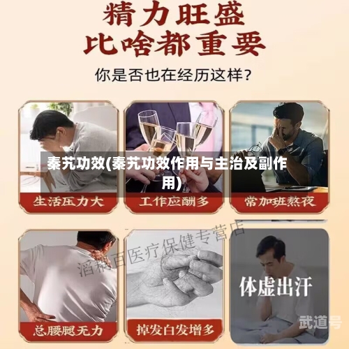 秦艽功效(秦艽功效作用与主治及副作用)