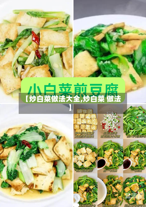 【炒白菜做法大全,炒白菜 做法】