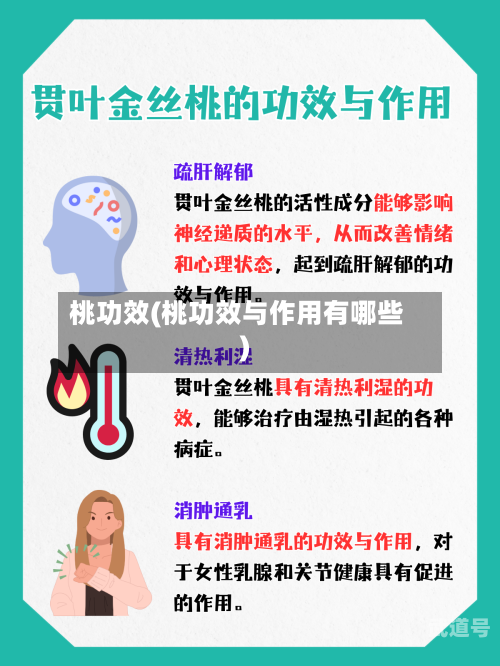 桃功效(桃功效与作用有哪些)