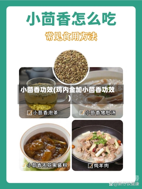 小茴香功效(鸡内金加小茴香功效)