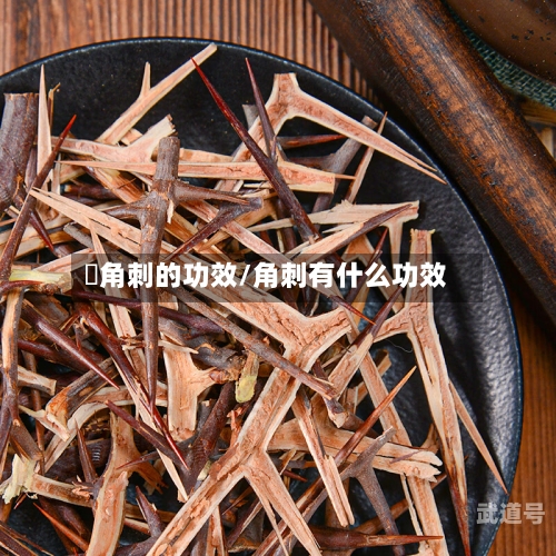 皀角刺的功效/角刺有什么功效