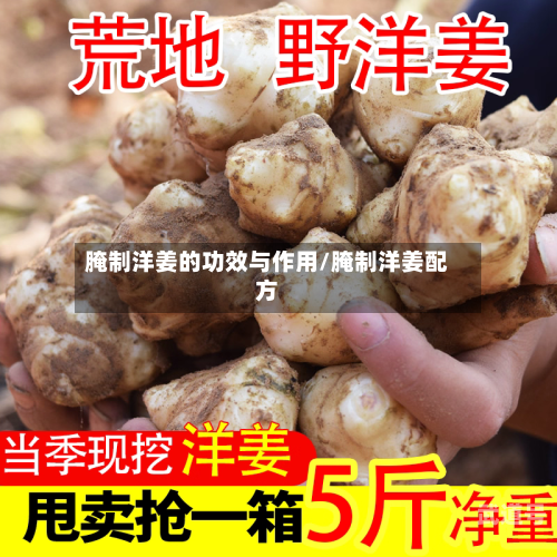腌制洋姜的功效与作用/腌制洋姜配方