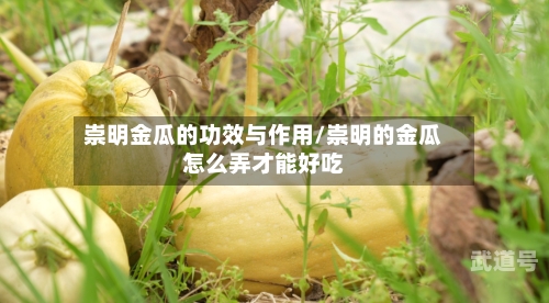 崇明金瓜的功效与作用/崇明的金瓜怎么弄才能好吃