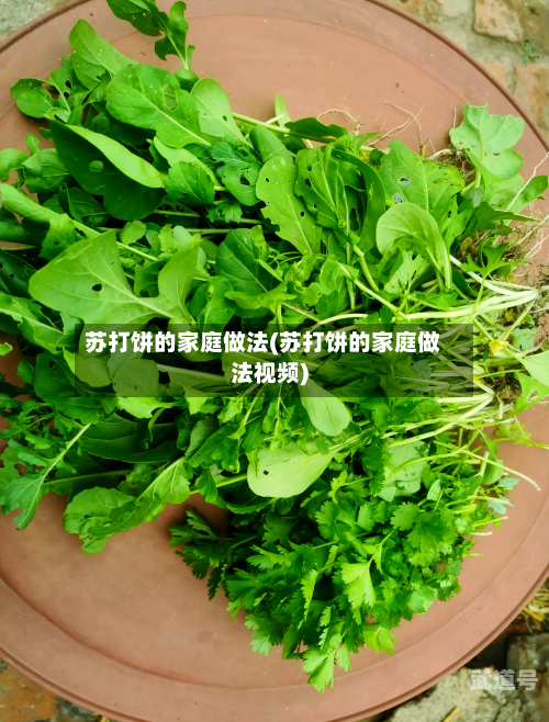苏打饼的家庭做法(苏打饼的家庭做法视频)