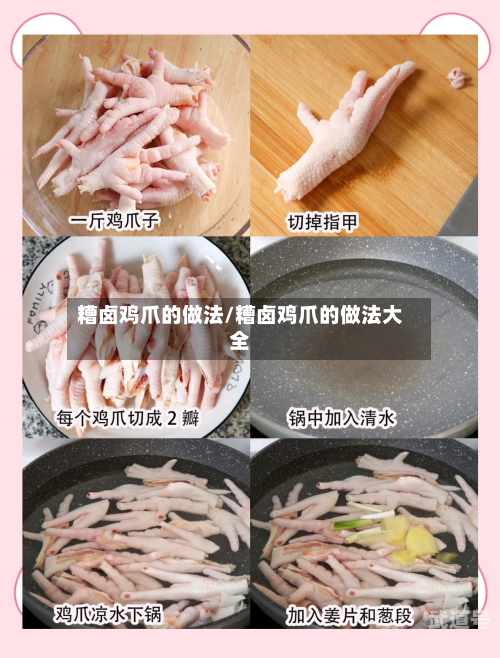 糟卤鸡爪的做法/糟卤鸡爪的做法大全