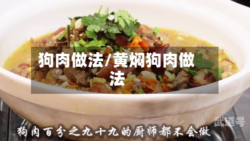 狗肉做法/黄焖狗肉做法