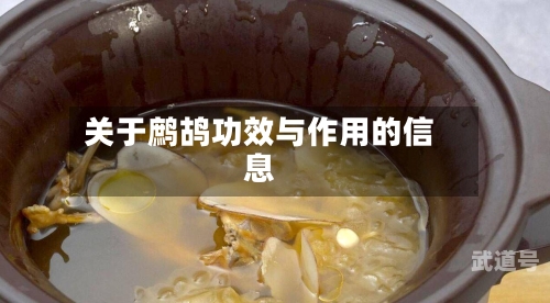 关于鹧鸪功效与作用的信息
