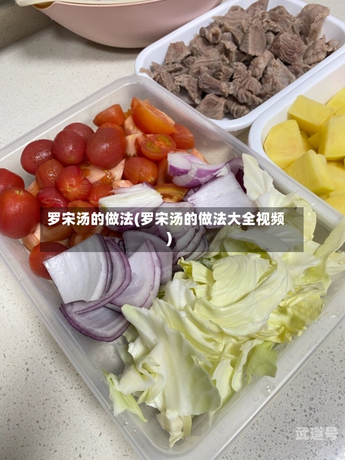 罗宋汤的做法(罗宋汤的做法大全视频)
