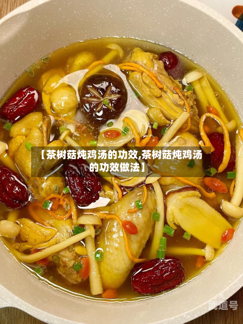 【茶树菇炖鸡汤的功效,茶树菇炖鸡汤的功效做法】