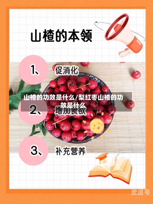 山楂的功效是什么/梨红枣山楂的功效是什么