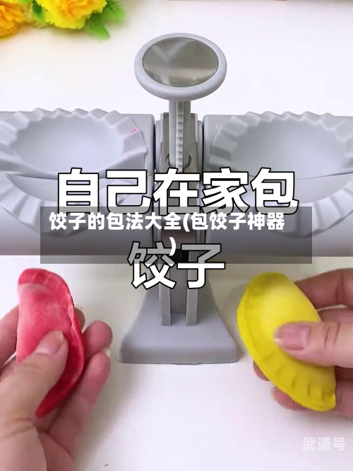 饺子的包法大全(包饺子神器)