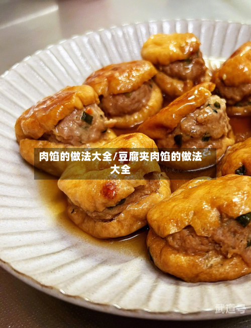 肉馅的做法大全/豆腐夹肉馅的做法大全