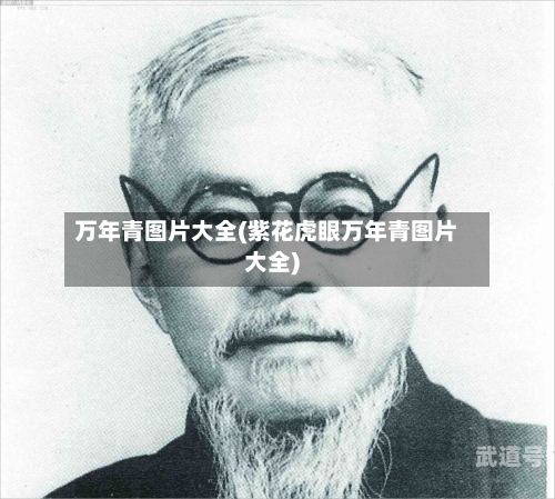 万年青图片大全(紫花虎眼万年青图片大全)
