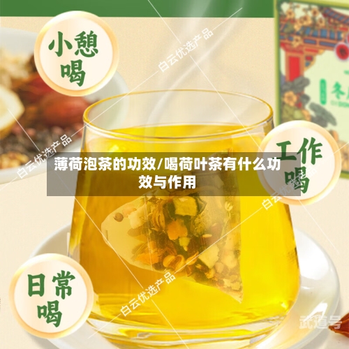 薄荷泡茶的功效/喝荷叶茶有什么功效与作用