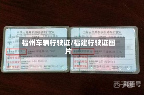 福州车辆行驶证/福建行驶证图片