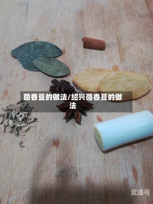 茴香豆的做法/绍兴茴香豆的做法