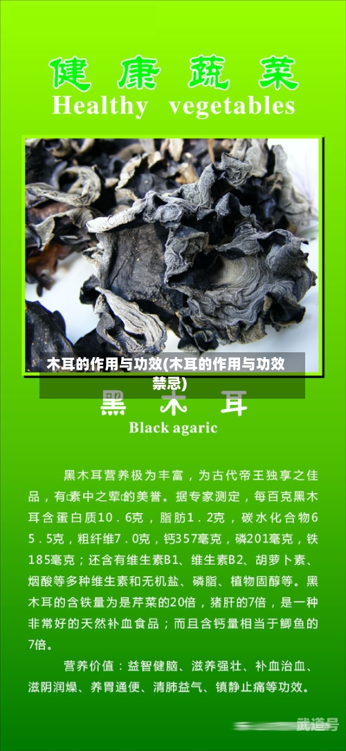 木耳的作用与功效(木耳的作用与功效禁忌)