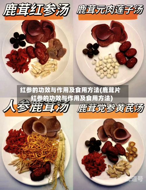 红参的功效与作用及食用方法(鹿茸片红参的功效与作用及食用方法)