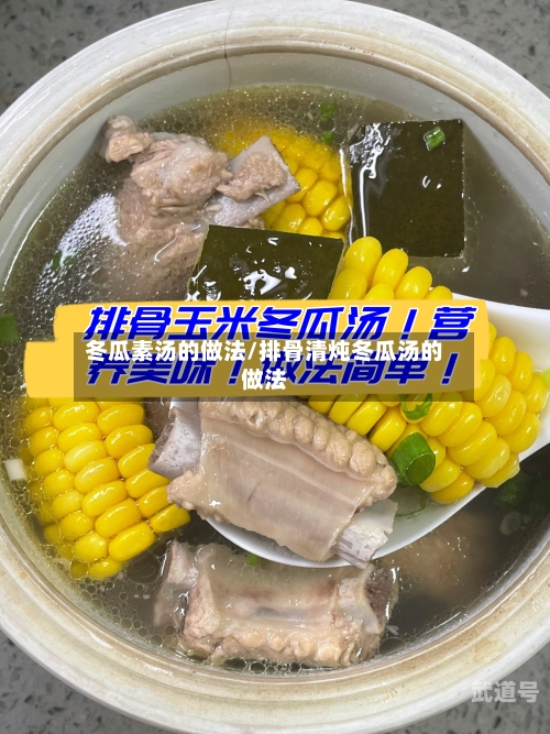 冬瓜素汤的做法/排骨清炖冬瓜汤的做法