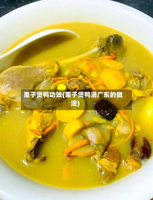 栗子煲鸭功效(栗子煲鸭汤广东的做法)