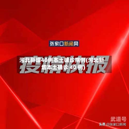 河北新增40例本土确诊病例(河北新增本土确诊 40 例)