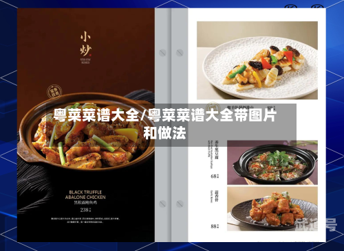 粤菜菜谱大全/粤菜菜谱大全带图片和做法