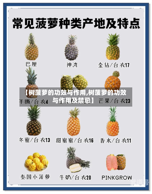 【树菠萝的功效与作用,树菠萝的功效与作用及禁忌】