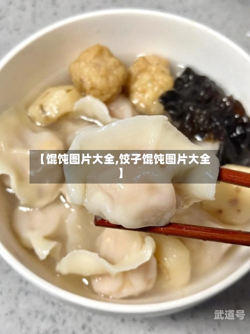 【馄饨图片大全,饺子馄饨图片大全】