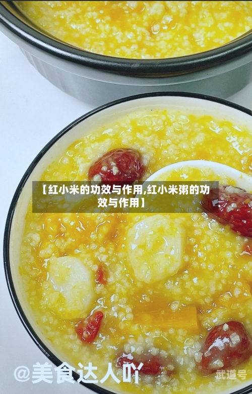 【红小米的功效与作用,红小米粥的功效与作用】