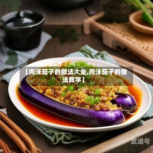 【肉沫茄子的做法大全,肉沫茄子的做法教学】