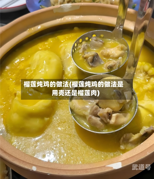 榴莲炖鸡的做法(榴莲炖鸡的做法是用壳还是榴莲肉)