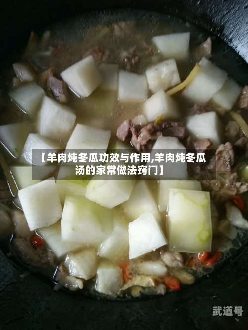 【羊肉炖冬瓜功效与作用,羊肉炖冬瓜汤的家常做法窍门】